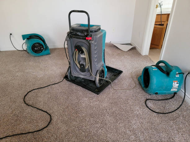 Best Fire Damage Restoration  in New City, NY