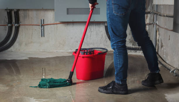 Best Water damage cleanup near me  in New City, NY