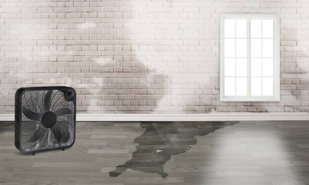 Best 24-hour water damage restoration  in New City, NY