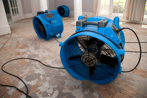 Best Flood damage cleanup  in New City, NY