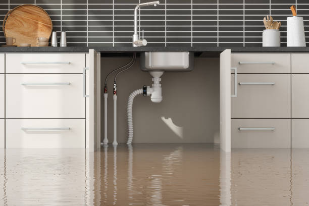 Best Flood damage cleanup  in New City, NY